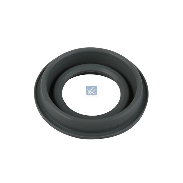 Dust cover, z-cam 2.4012 DIESEL TECHNIC